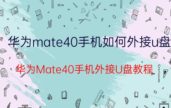 华为mate40手机如何外接u盘 华为Mate40手机外接U盘教程